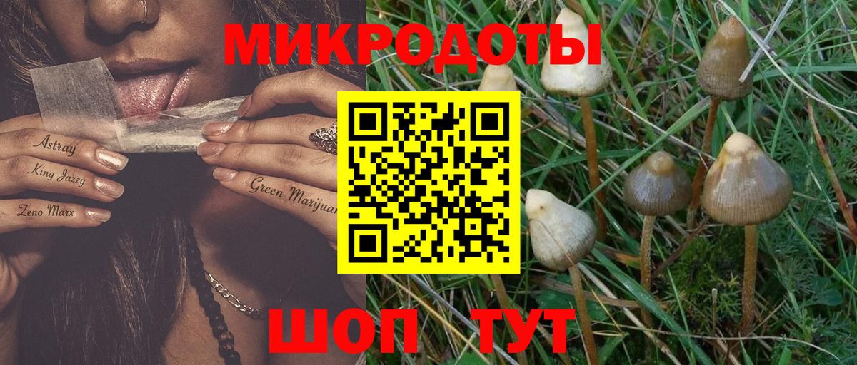 Галлюциногенные грибы GOLDEN TEACHER  Галлюциногенные грибы Magic Shrooms  Вход с VPN  Пугачёв 