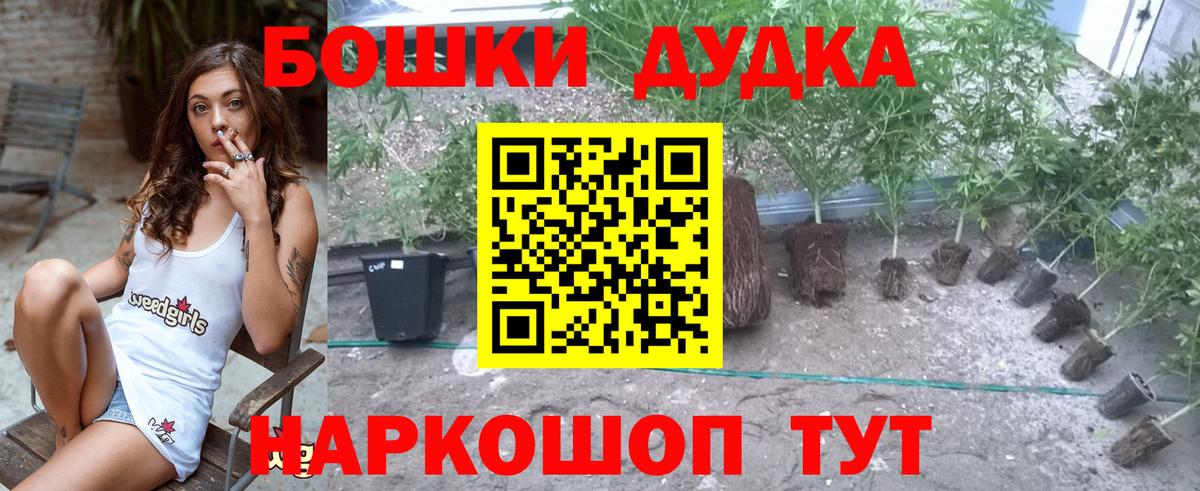 Конопля семена Пугачёв
